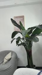 -Dr.Jane皮肤管理中心