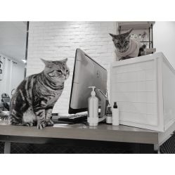 -幸运7纹身刺青Lucky7tattoo