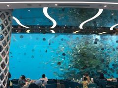 -瑞德姆美人鱼海底演艺主题餐厅(亚龙湾店)