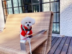 -一尺花园(安和花园店)