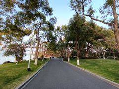 -浙江西子宾馆·瑶园咖啡厅