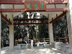 -火炉山森林公园