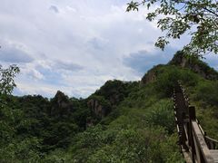 -大岭沟猕猴桃谷风景区