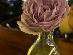 -蓝壁虎咖啡酒馆