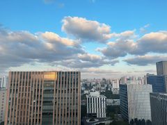 -上海漕河泾万丽酒店