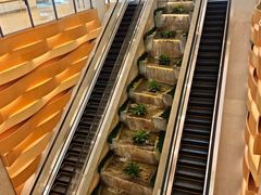 -羲和雅苑•北京烤鸭(国贸商城店)