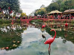 -广州莲花山旅游区