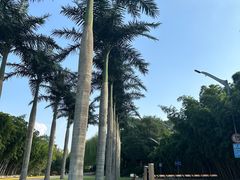 -长安先导国际创新人才交流中心