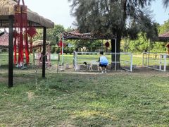 -大嶝英雄三岛战地观光园