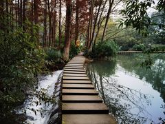 -桤木河湿地公园