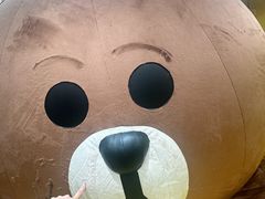 -line friends(明洞旗舰店)