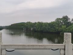 -溱湖国家湿地公园