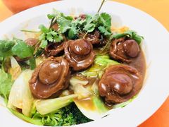 菠萝包-聚福宝合苑食府(南头镇店)