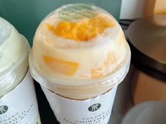 -茉酸奶(春熙路店)