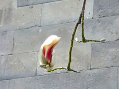 -东华门大街小区