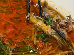 -院8里·少城记忆老川菜(宽窄巷子店)