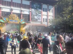 -西双版纳原始森林公园