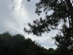-千灯古镇