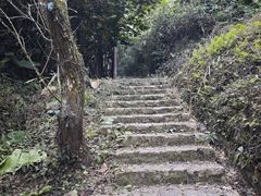 -广州市石门国家森林公园