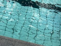 -汇乐游泳馆(莲花南路店)