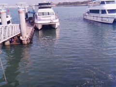 -日照世帆赛基地