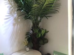 -津椰本·海南正宗椰奶清补凉(店一店)