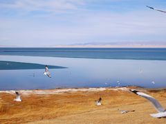 -青海湖国家重点风景名胜区