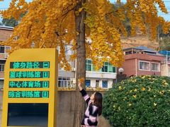 -长春市南湖公园