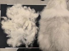 -comecome来吧宠物(奥克斯中心店)