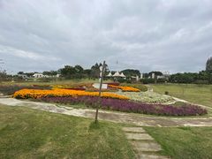 -紫颐香薰山谷景区