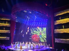 -水秀国际大剧院