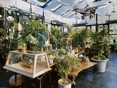 -北马山庄植趣咖啡