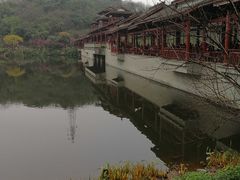 -重庆彩云湖湿地公园