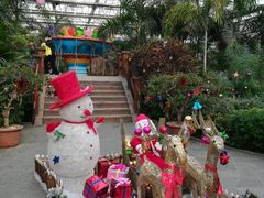 -南宫五洲植物乐园