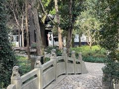 -汇龙潭