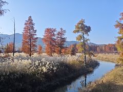 -四明湖