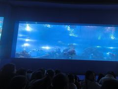 -重庆欢乐海底世界