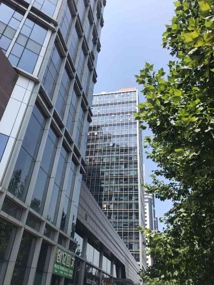 金澳国际大厦-"看着这大楼一点一点起来的,从无到有还是很.