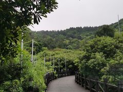 -树山生态村
