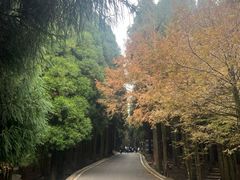 -山王坪喀斯特国家生态公园