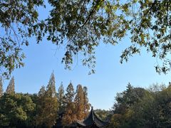 -汇龙潭