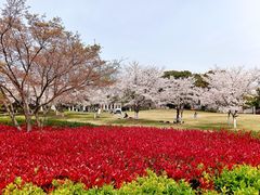 -石湖景区