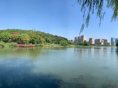 -绍兴镜湖国家城市湿地公园