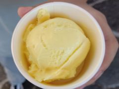 -iceason爱茜茜里·意大利健康冰淇淋(骑龙巷店)