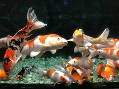 -左海海底世界