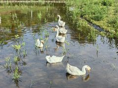 -厦门国家会计学院