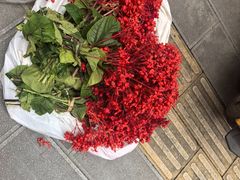 -东北大院·东北菜(三台子店)