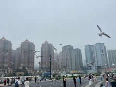 -大连星海广场音乐喷泉