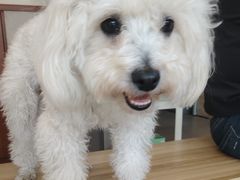 -艾贝尔宠物医院·狂犬免疫点(江山金象城店)