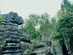 -梭布垭石林景区